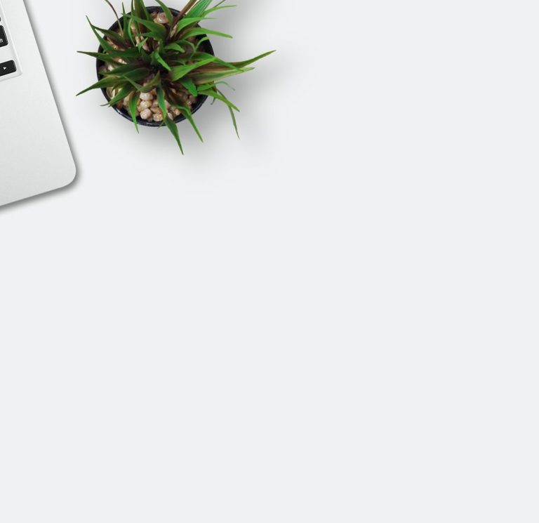 Teil vom Laptop und Pflanze in schwarzem Topf